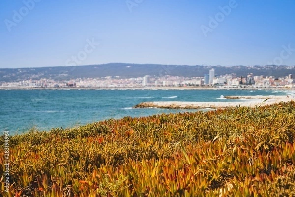 Obraz Figueira da foz beach Portugal. Summer day in Europe. Boho style coloured style photo.  Over processed.