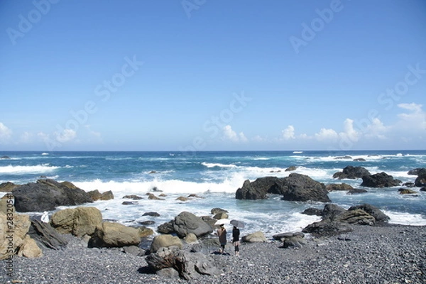 Fototapeta 室戸岬　海を見る人