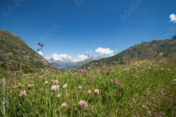 Obraz OLYMPUS DIGITAL CAMERA