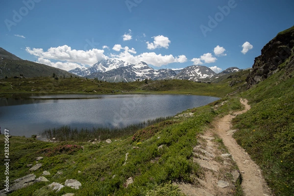 Fototapeta OLYMPUS DIGITAL CAMERA