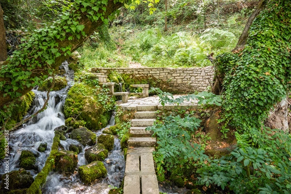 Obraz The Cold Water spring of Tepelena City.