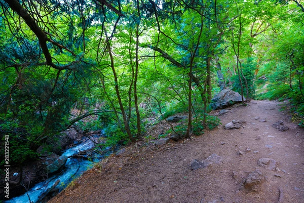 Obraz View along Adams Canyon trail near Layton, Utah