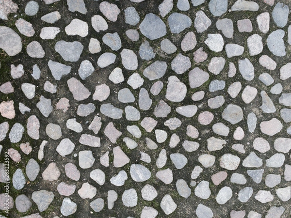 Fototapeta Cobblestone pavement texture up close