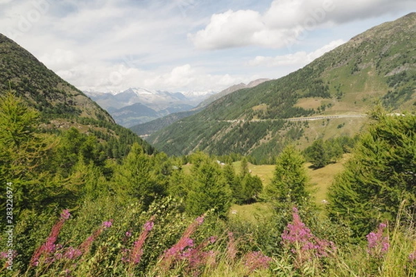 Obraz OLYMPUS DIGITAL CAMERA