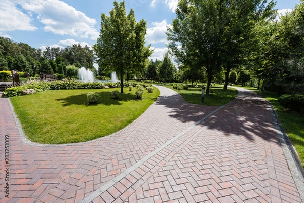 Obraz shadows on path near trees with green leaves in park