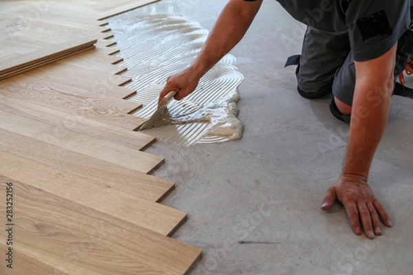 Fototapeta Worker laying parquet flooring. Worker installing wooden laminate flooring