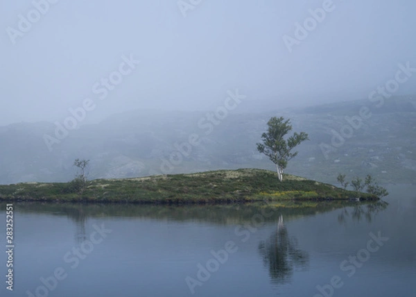 Fototapeta Beautiful still water with tree in mist