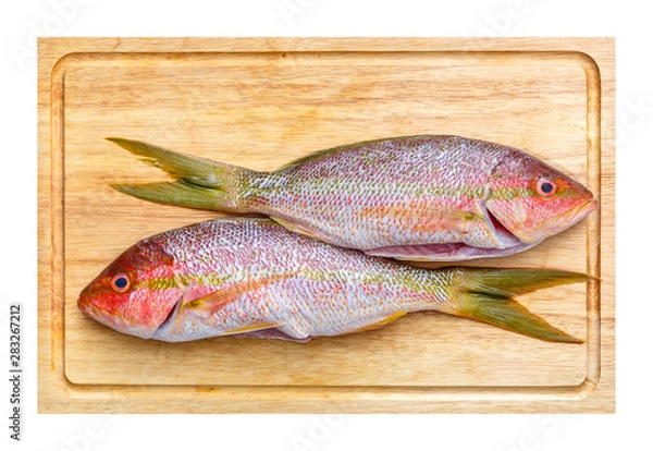 Obraz Yellowtail Snapper on