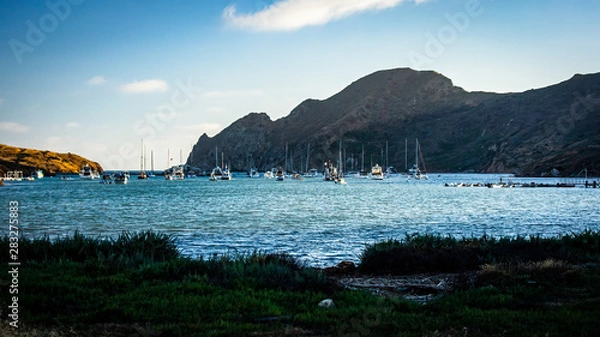 Fototapeta Boats Moored at Two Harbors in Catalina Island at Sunset