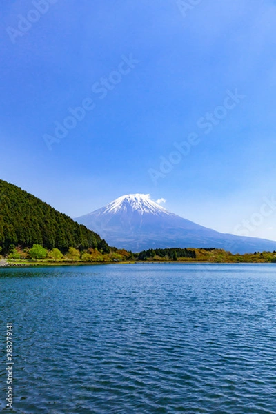 Fototapeta 富士山、静岡県富士宮市田貫湖にて