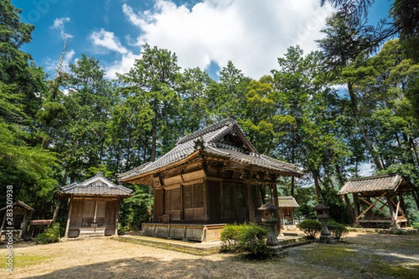 Fototapeta 夏の田舎の景色と寺