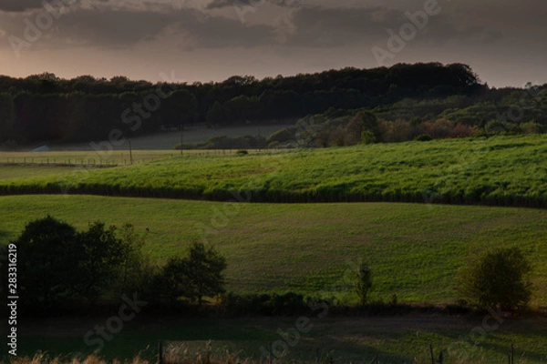 Obraz Abenddämmerung im Bergischen