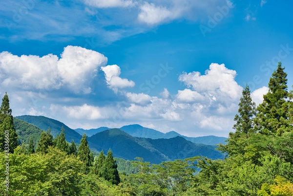 Fototapeta 山の景色