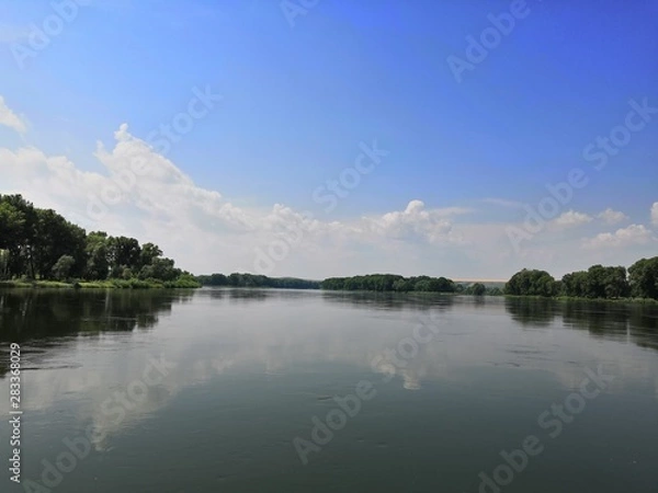 Obraz lake in forest