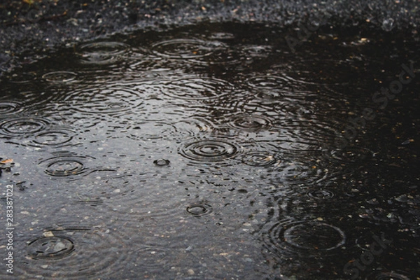 Obraz Rain on puddle