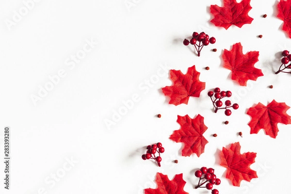 Fototapeta Autumn composition. Red maple leaves on white background. Autumn, fall, thanksgiving day concept. Flat lay, top view, copy space