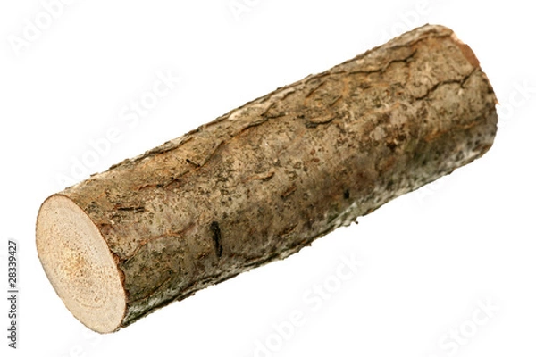 Obraz One log