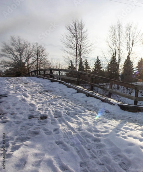 Fototapeta Mid winter in the mid west. Snow covered ground, wooden fence, pine trees, tall trees with no leaves and a setting sun.