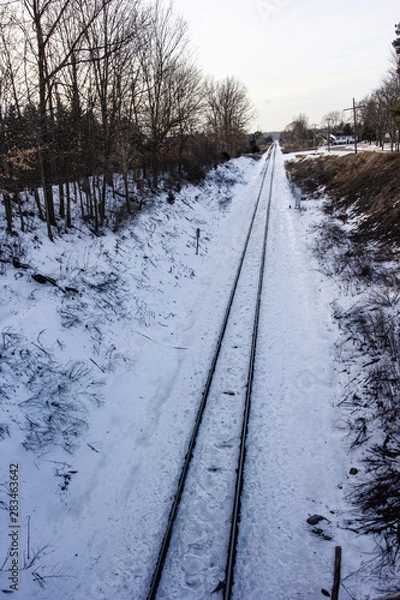 Fototapeta Snow covered ground in the country. Railroad tracks divide the countryside. Tall barren trees, white clouds, and falling snow.