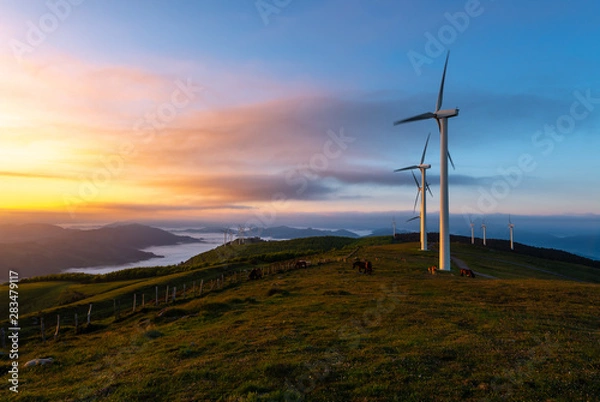 Obraz Wind turbines farm at sunrise, Oiz mountain, Basque Country, Spain