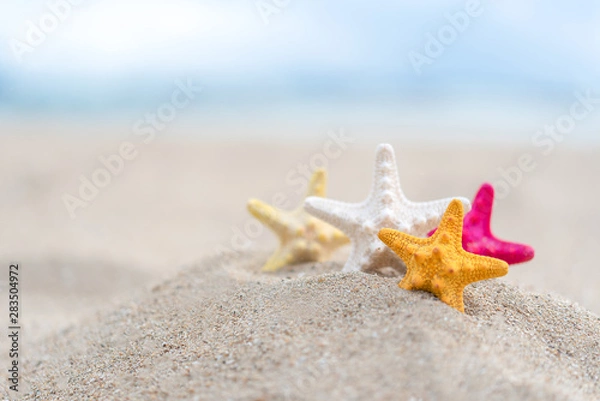 Fototapeta Closed up on colorful starfish beautiful sea shells on the seashore with blue sky background. Vacation and summer conceptual.