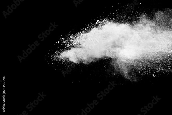 Fototapeta Freeze motion of white color powder exploding on dark background. 