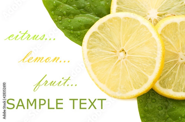 Fototapeta Fresh juicy Lemon with green leafs