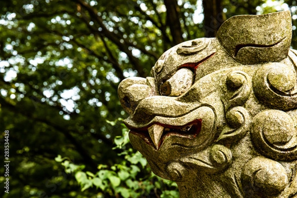 Fototapeta 狛犬　うん