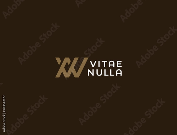 Obraz VN or NV. Monogram of Two letters V&N . Luxury, simple, minimal and elegant VN logo design. Vector illustration template.