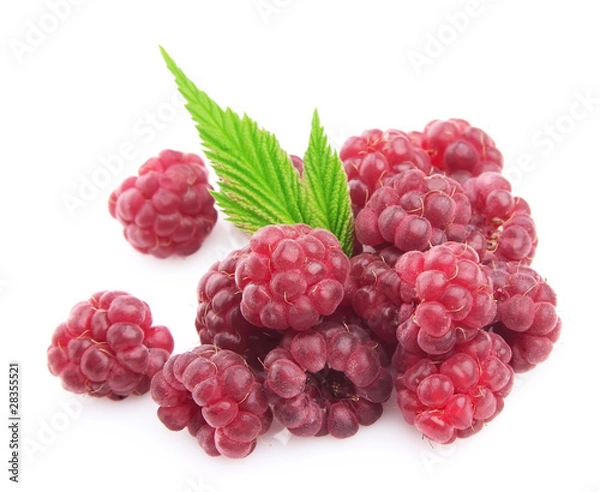 Fototapeta Raspberry