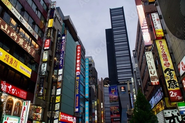 Obraz 夜の歌舞伎町