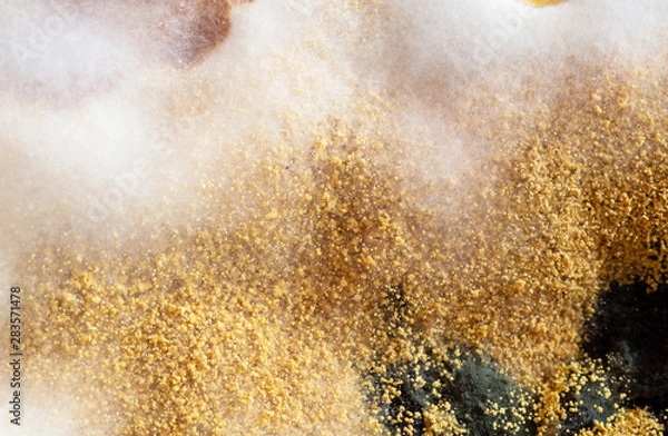 Fototapeta Macro shot of mold (aspergillus) on jam, view from above