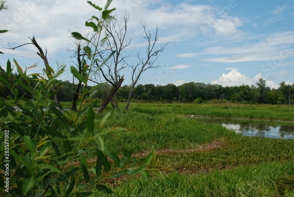 Obraz Uroczysko Trojan