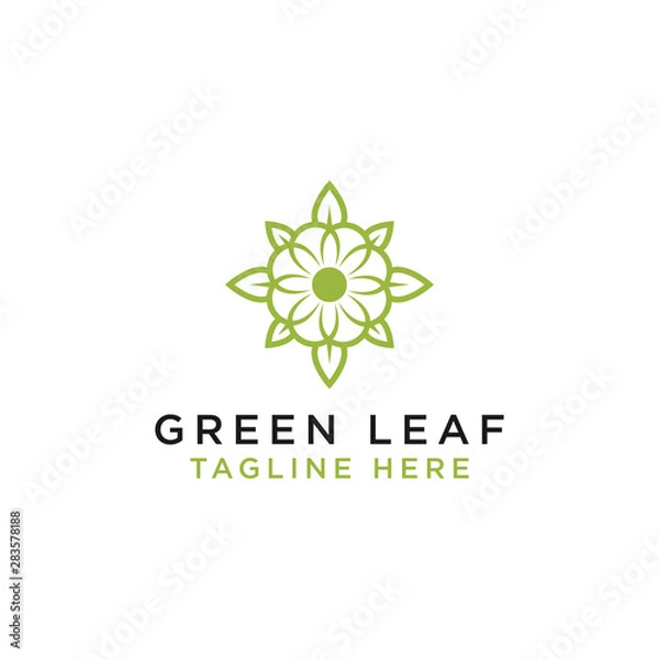 Fototapeta   Simple leaf logos are linear style vector designs. - Vector