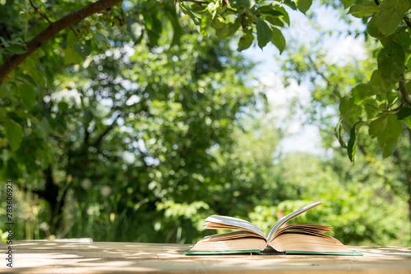 Fototapeta Open book on a wooden table in a garden. Sunny summer day, reading in a vacation concept