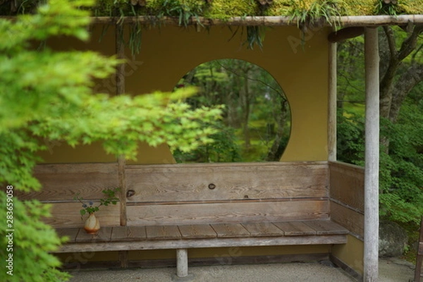 Fototapeta 円通院のお庭