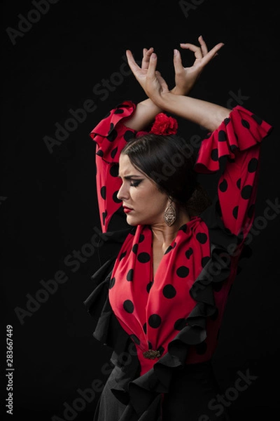 Obraz Close-up flamenca dancer raising hands