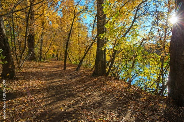 Fototapeta Beautiful autumn forest.  Path along the river in park. Sunny autumn day.
