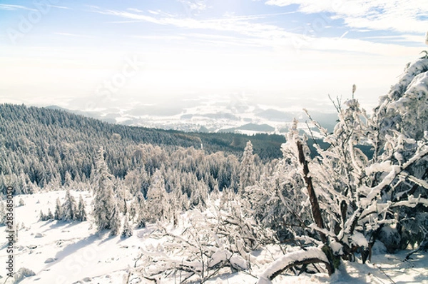 Obraz Winter Landscape with mountains and trees
