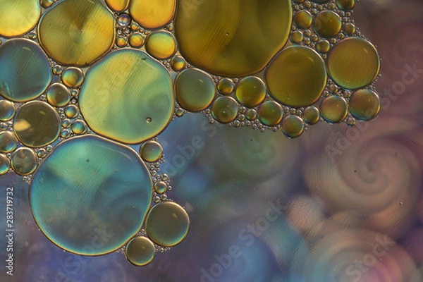 Fototapeta ABSTRACT BUBBLE OIL