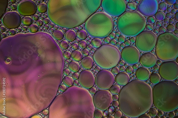 Fototapeta ABSTRACT BUBBLE OIL