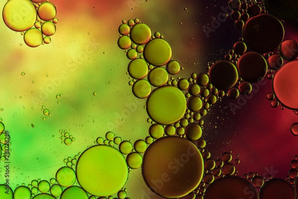 Fototapeta ABSTRACT BUBBLE OIL