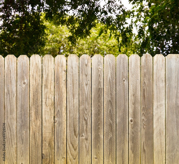 Obraz Privacy and security provided by rustic whitewashed wood fence with green shade tree background