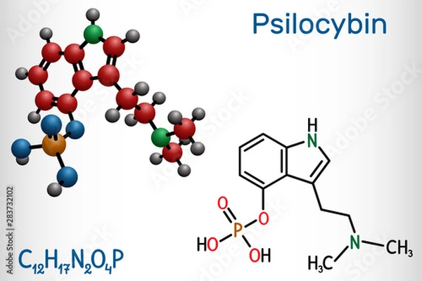 Fototapeta Psilocybin alkaloid molecule. It is naturally psychedelic prodrug. Structural chemical formula and molecule model