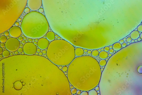 Obraz ABSTRACT BUBBLE OIL