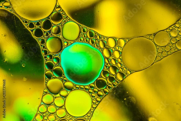 Fototapeta ABSTRACT BUBBLE OIL