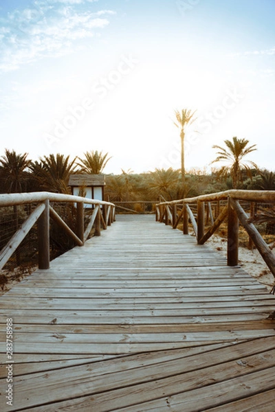 Fototapeta Sunny bridge