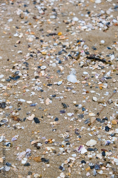 Fototapeta Broken shell and small pebbles with sand on beach make beauty in nature
