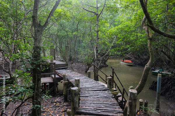 Fototapeta wooden bridge in Mangrove forest in Can Gio Island Vietnam