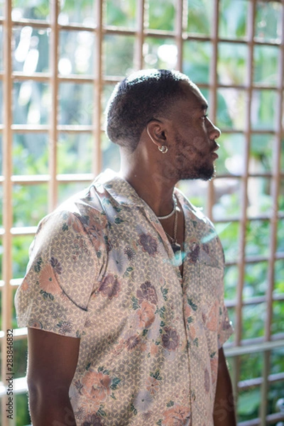 Obraz black male model looking away